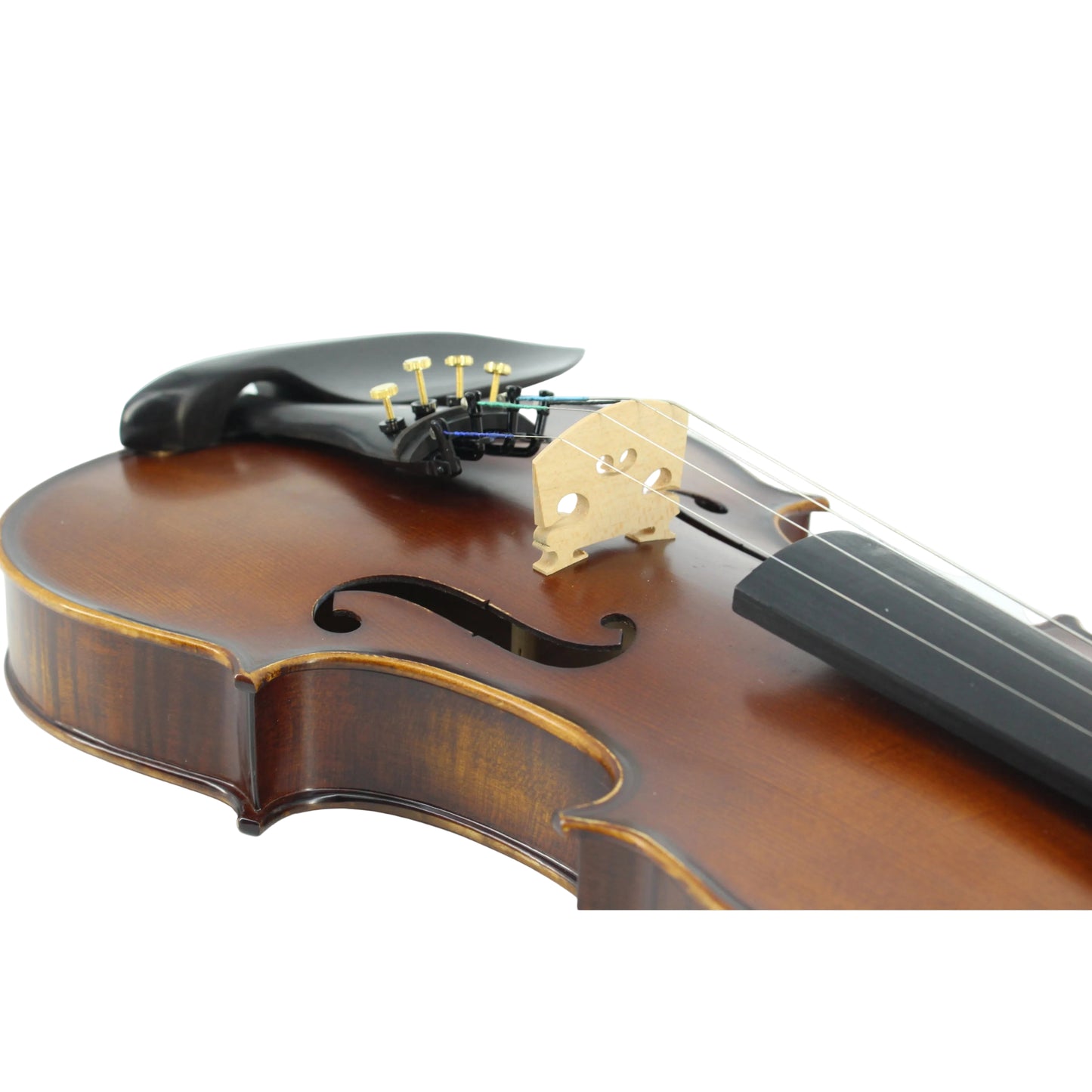 TLY MAESTRO VL300 Deep Red Brown