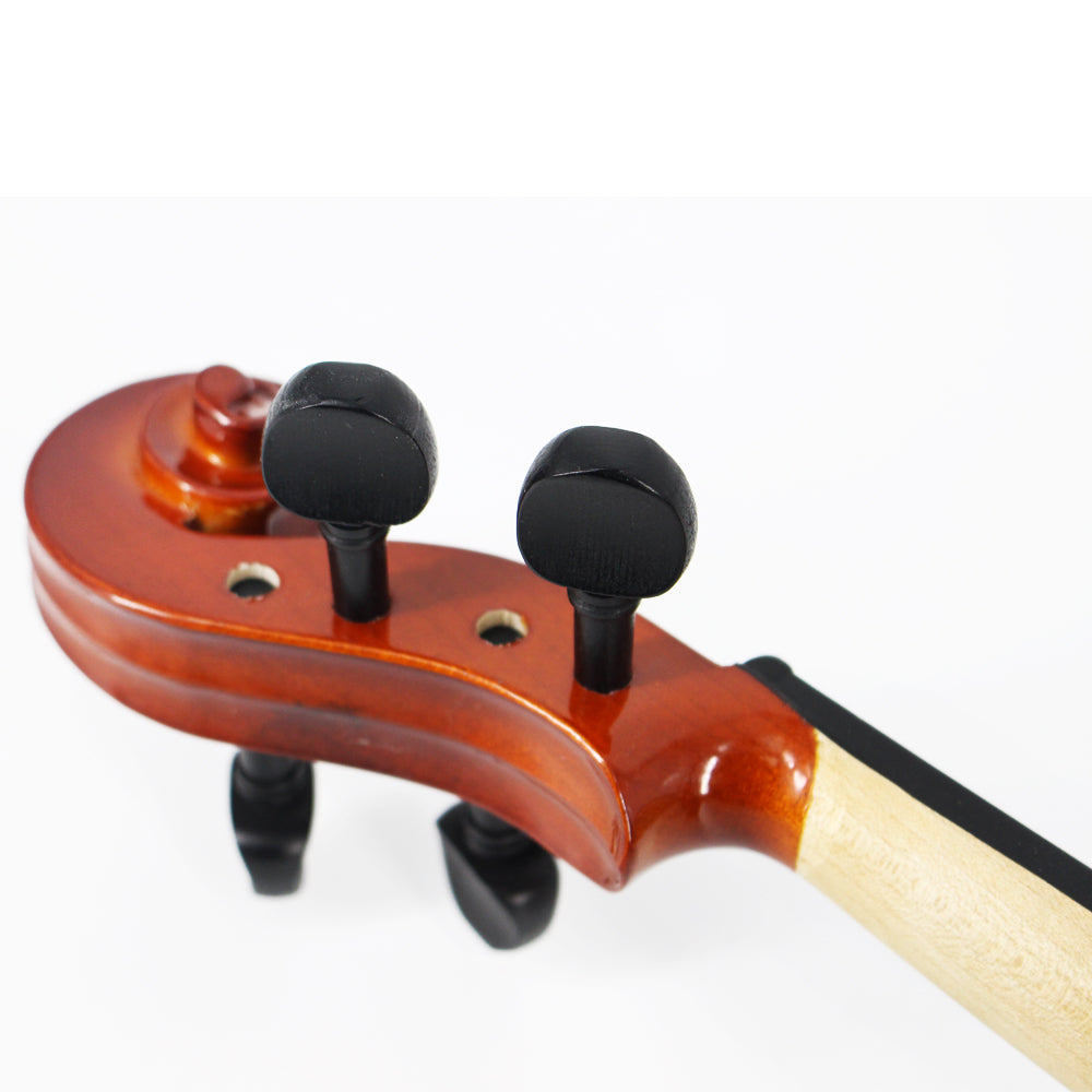 TLY Fiddle VLF200 Classic Violin with Flamed Maple Finish
