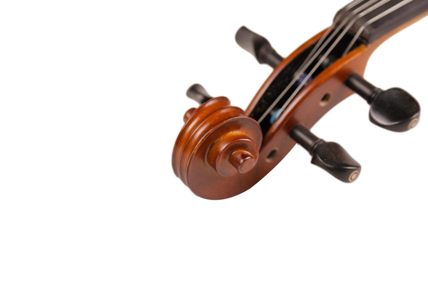 TLY Studio VL210 Light Amber Violin with Ebony Fittings