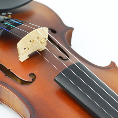 TLY Fiddle VLF100 Vintage Student Violin with Matte Antique Finish