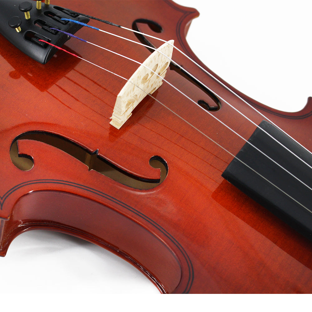 TLY Fiddle VLF200 Classic Violin with Flamed Maple Finish
