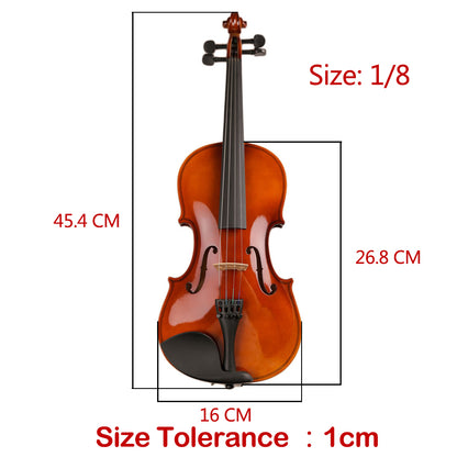 TLY Fiddle VLF100 Beginner Violin Outfit for Students and School Programs
