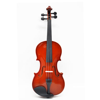 TLY Fiddle VLF200 Classic Violin with Flamed Maple Finish