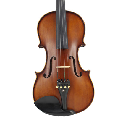 TLY MAESTRO VL300 Deep Red Brown