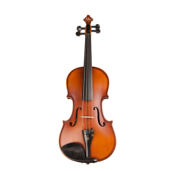 TLY Studio VL210 Light Amber Violin with Ebony Fittings