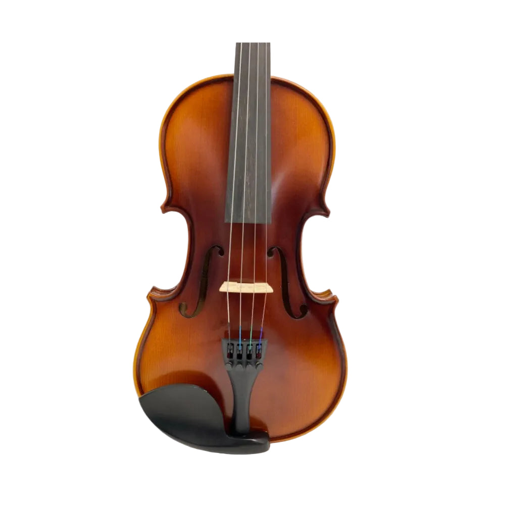 TLY Studio VL200 Shaded Golden Amber Violin with Hand-Applied Spirit Varnish