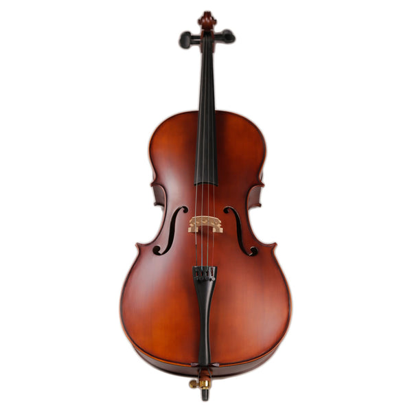 TLY STUDIO CL100 SATIN VARNISH