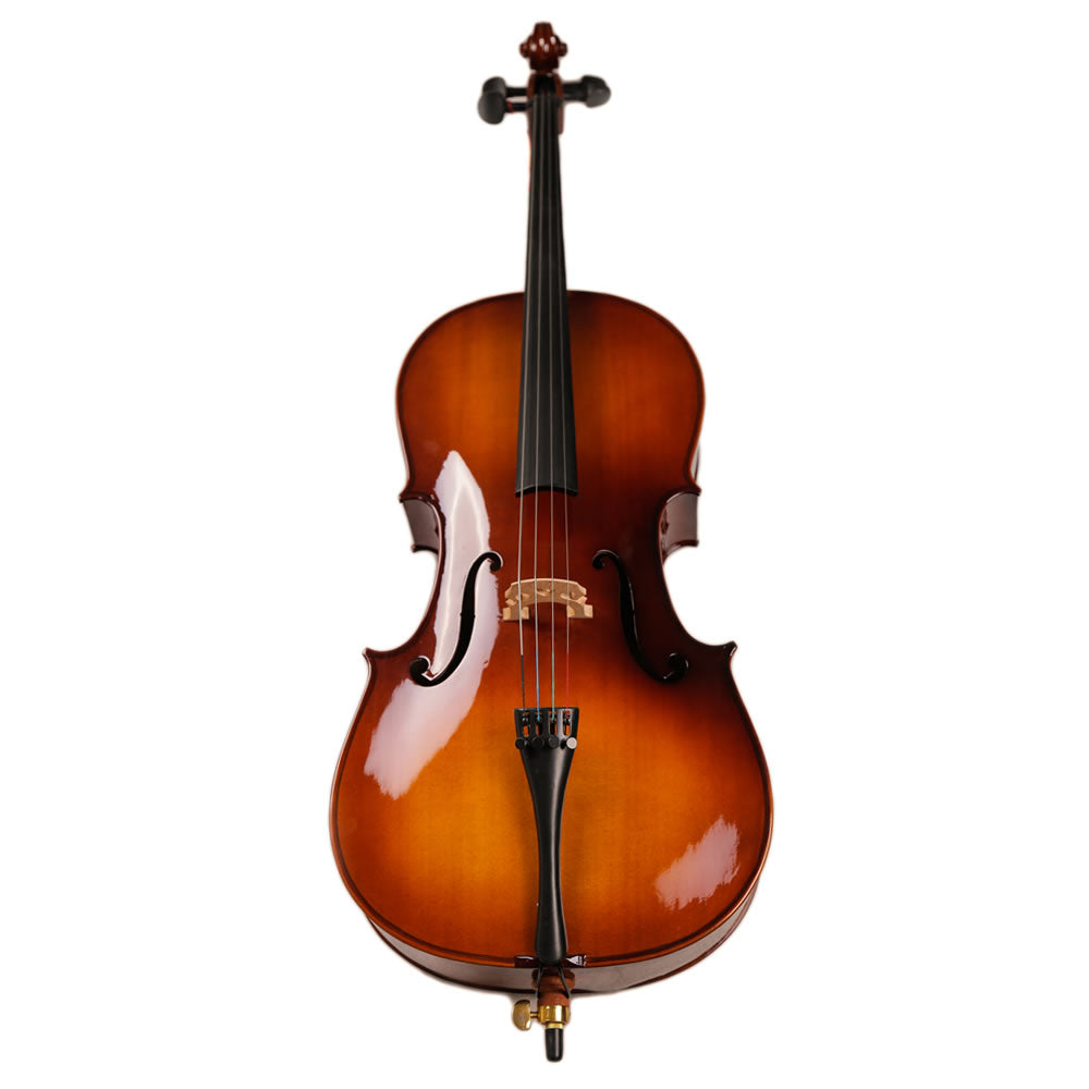 TLY STUDIO CL100 SHADED TL011-1B