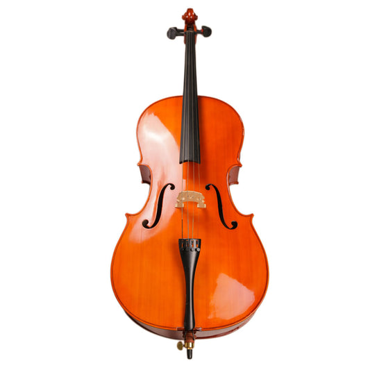 TLY STUDIO CL100 HIGH GLOSS VARNISH TL011-1A