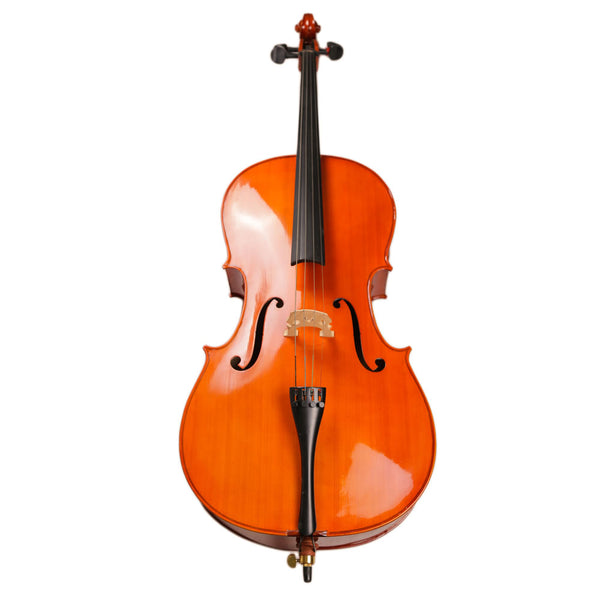 TLY STUDIO CL100 HIGH GLOSS VARNISH TL011-1A