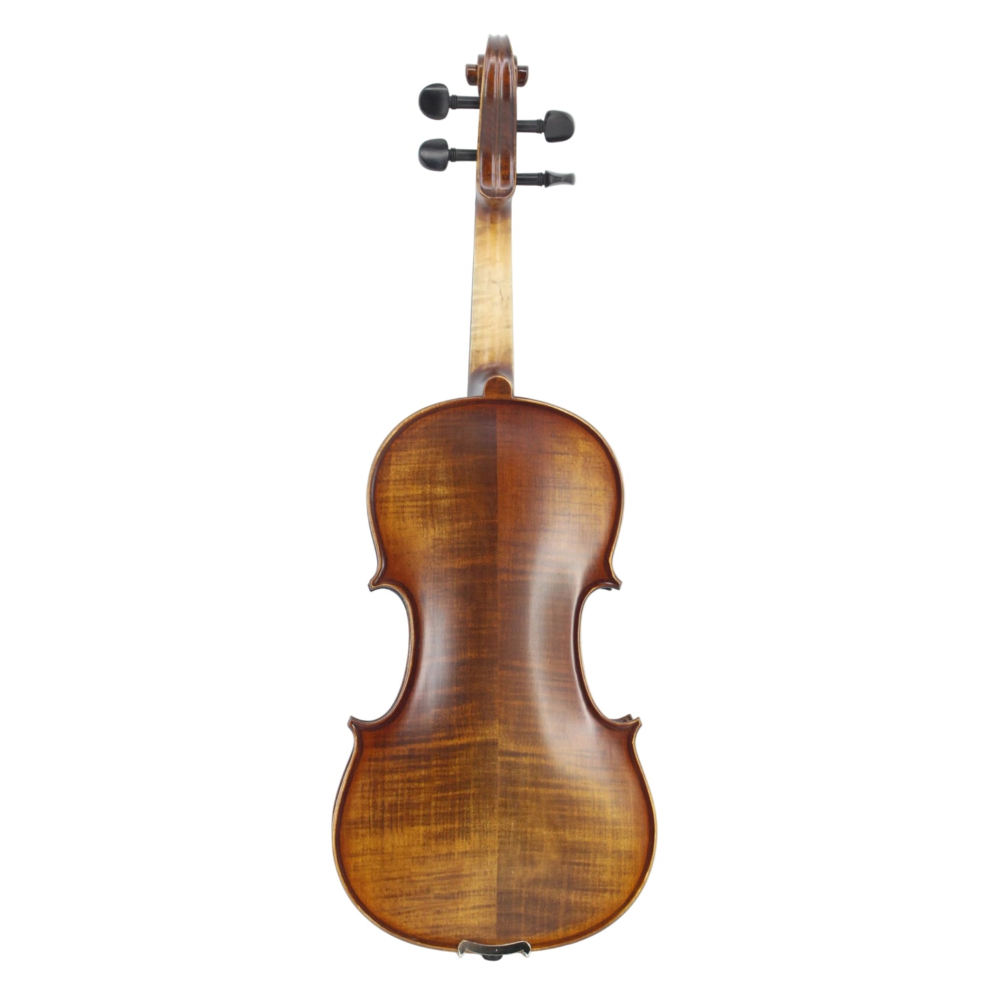 TLY MAESTRO VL300 Deep Red Brown