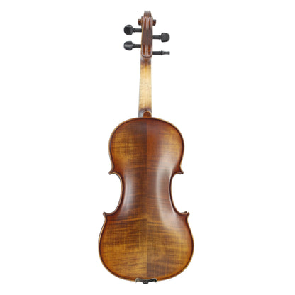 TLY MAESTRO VL300 Deep Red Brown