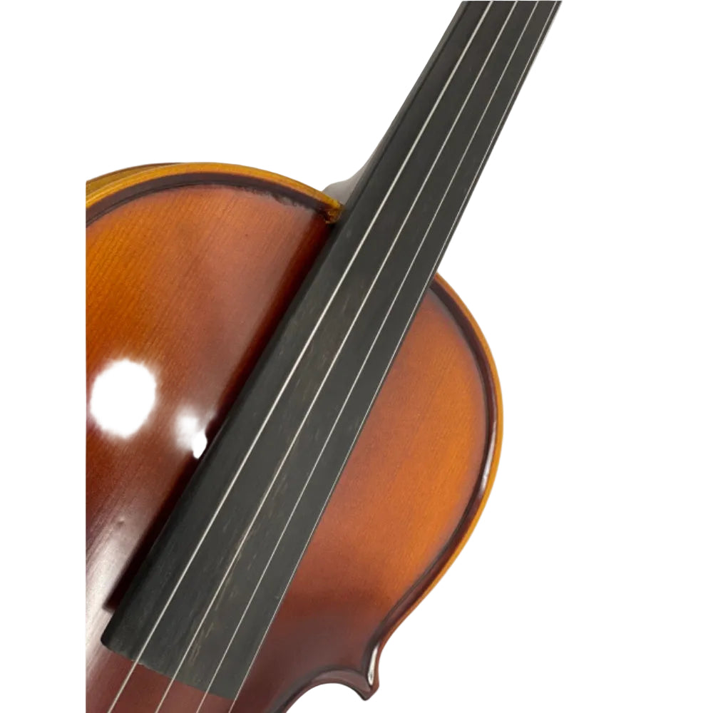 TLY Studio VL200 Shaded Golden Amber Violin with Hand-Applied Spirit Varnish