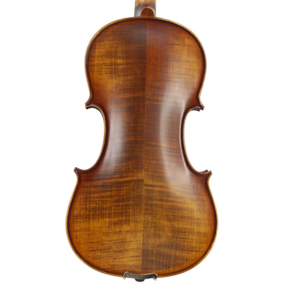 TLY MAESTRO VL300 Deep Red Brown