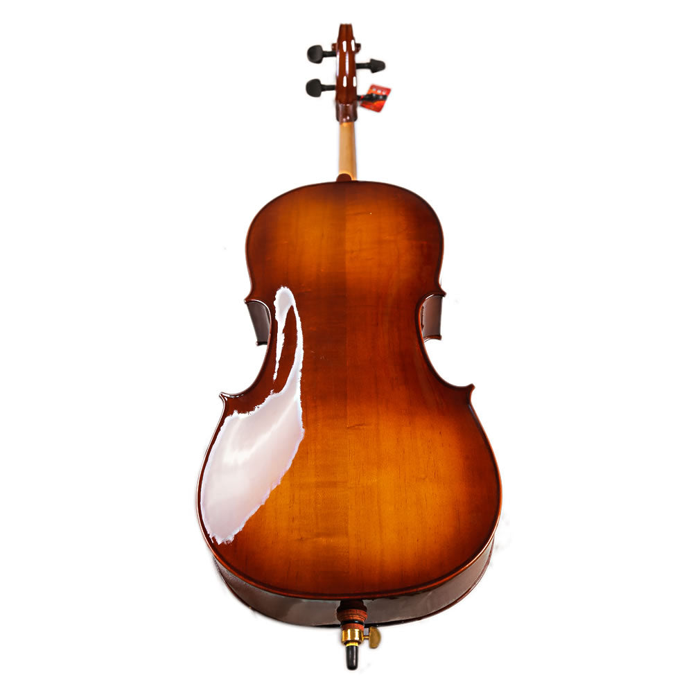 TLY STUDIO CL100 SHADED TL011-1B