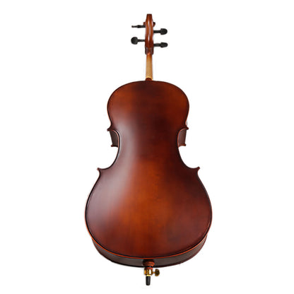 TLY STUDIO CL100 SATIN VARNISH