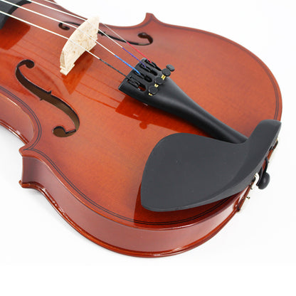 TLY Fiddle VLF200 Classic Violin with Flamed Maple Finish