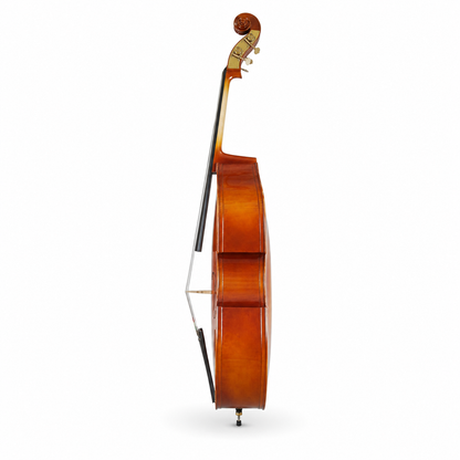 TLY FIDDLE DB100 HIGH GLOSS