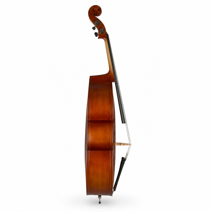 TLY FIDDLE DB100 VINTAGE