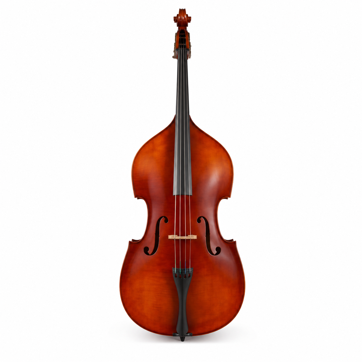 TLY FIDDLE DB200