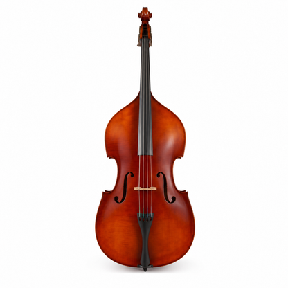 TLY FIDDLE DB200