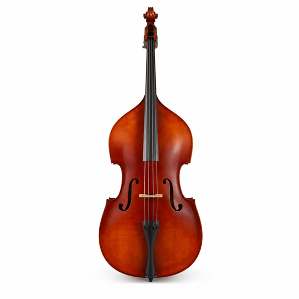 TLY FIDDLE DB200