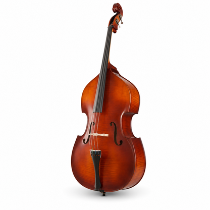 TLY FIDDLE DB200