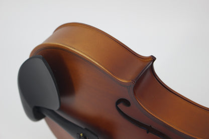 TLY Fiddle VLF200 Vintage Violin with Flamed Maple Appearance