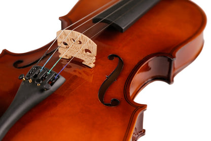TLY Fiddle VLF100 Beginner Violin Outfit for Students and School Programs