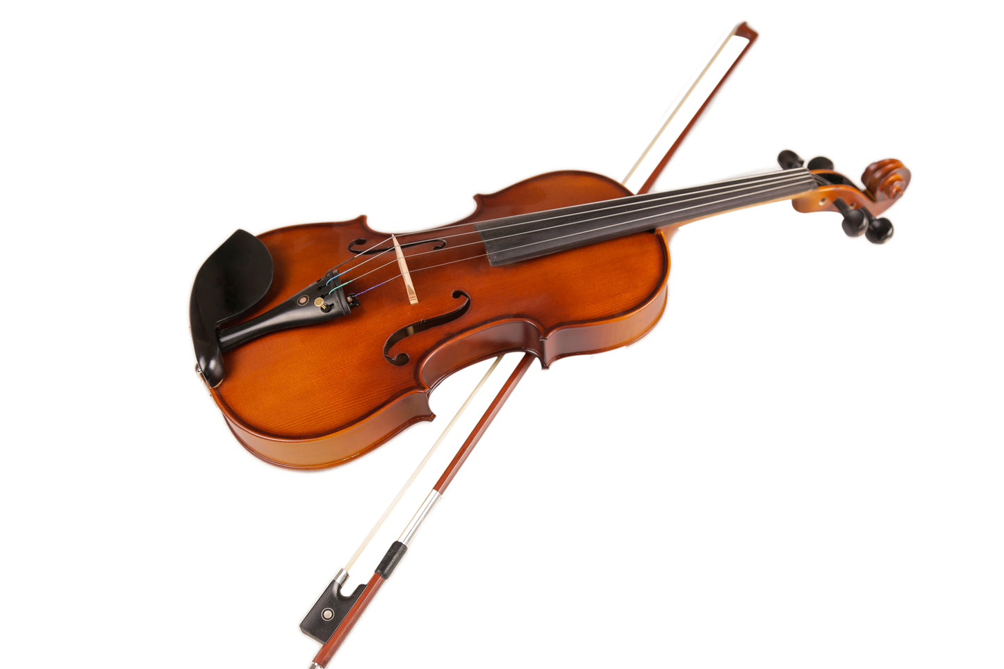 TLY Studio VL210 Light Amber Violin with Ebony Fittings