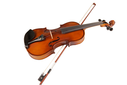 TLY Studio VL210 Light Amber Violin with Ebony Fittings