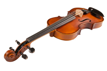 TLY Studio VL210 Light Amber Violin with Ebony Fittings