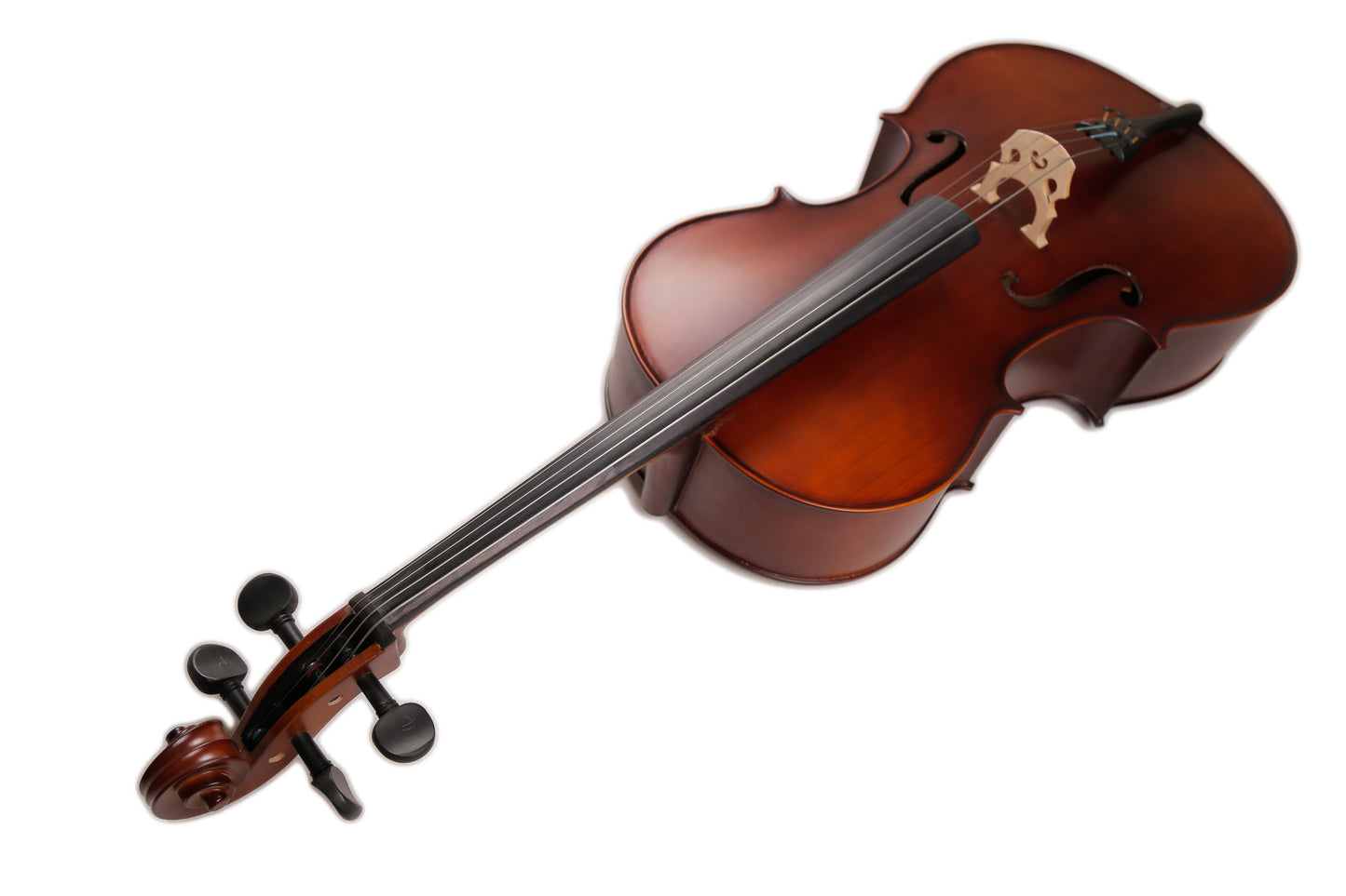 TLY STUDIO CL100 SATIN VARNISH