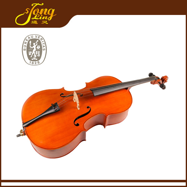 TLY STUDIO CL100 HIGH GLOSS VARNISH TL011-1A